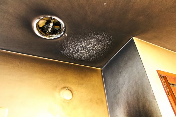 Cost of Fire Damage Cleanup in Plano